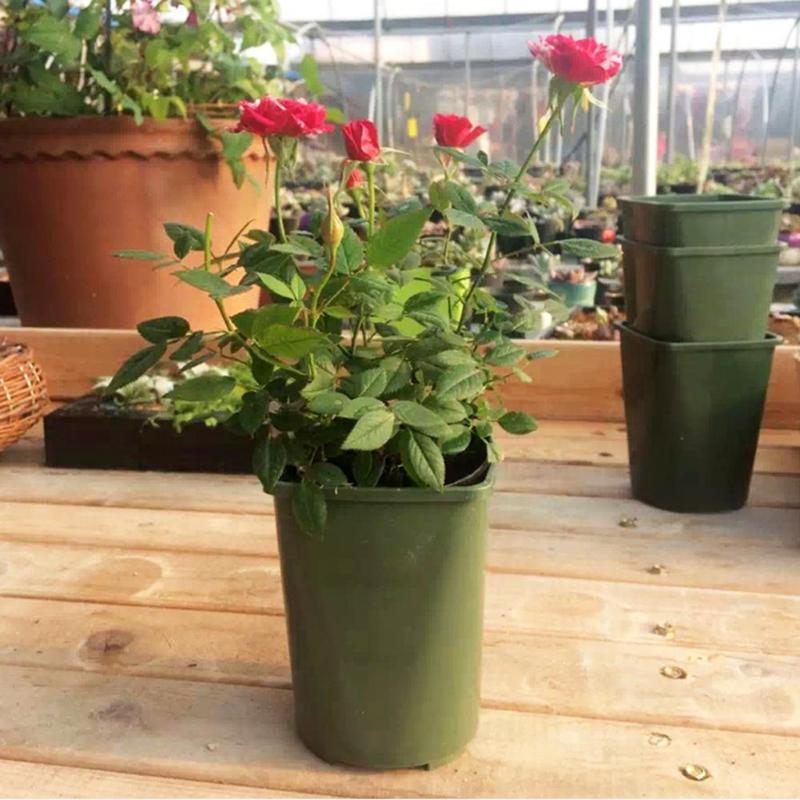 Plastic Square Pots