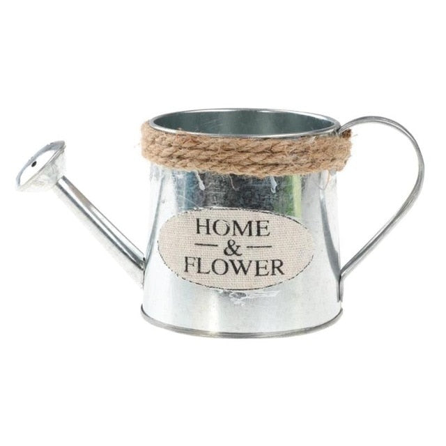 Bucket Potted Plants