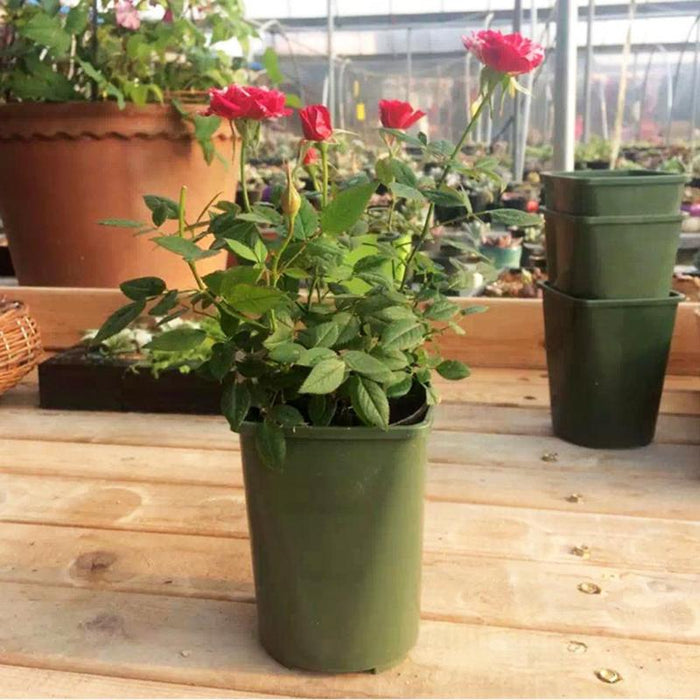 Plastic Square Pots