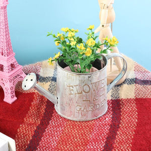 Bucket Potted Plants