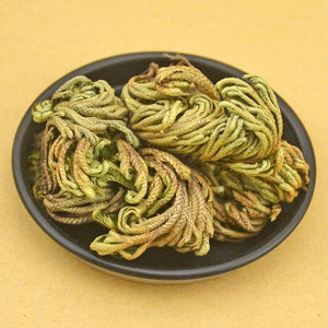 Stunning Resurrection Plant