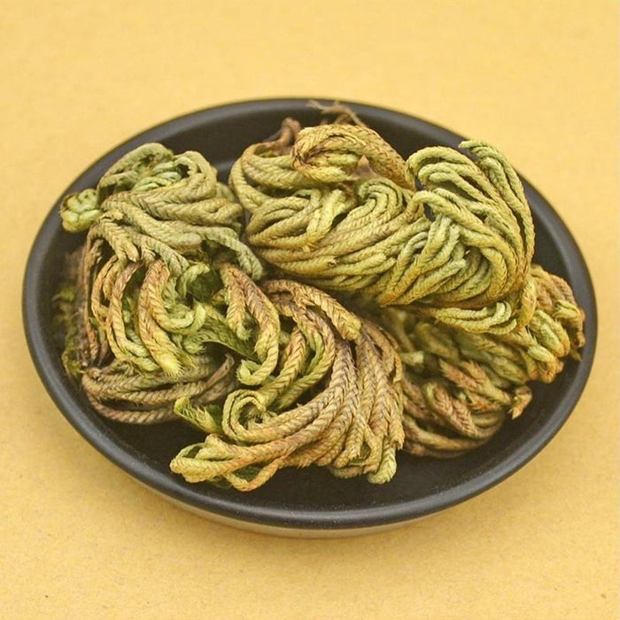 Stunning Resurrection Plant